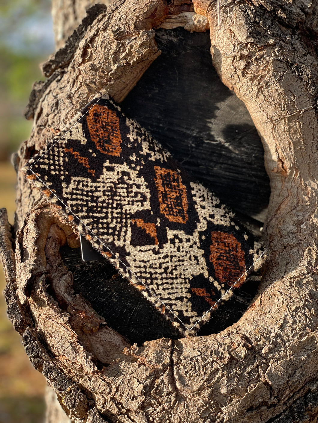 Snake Wallet
